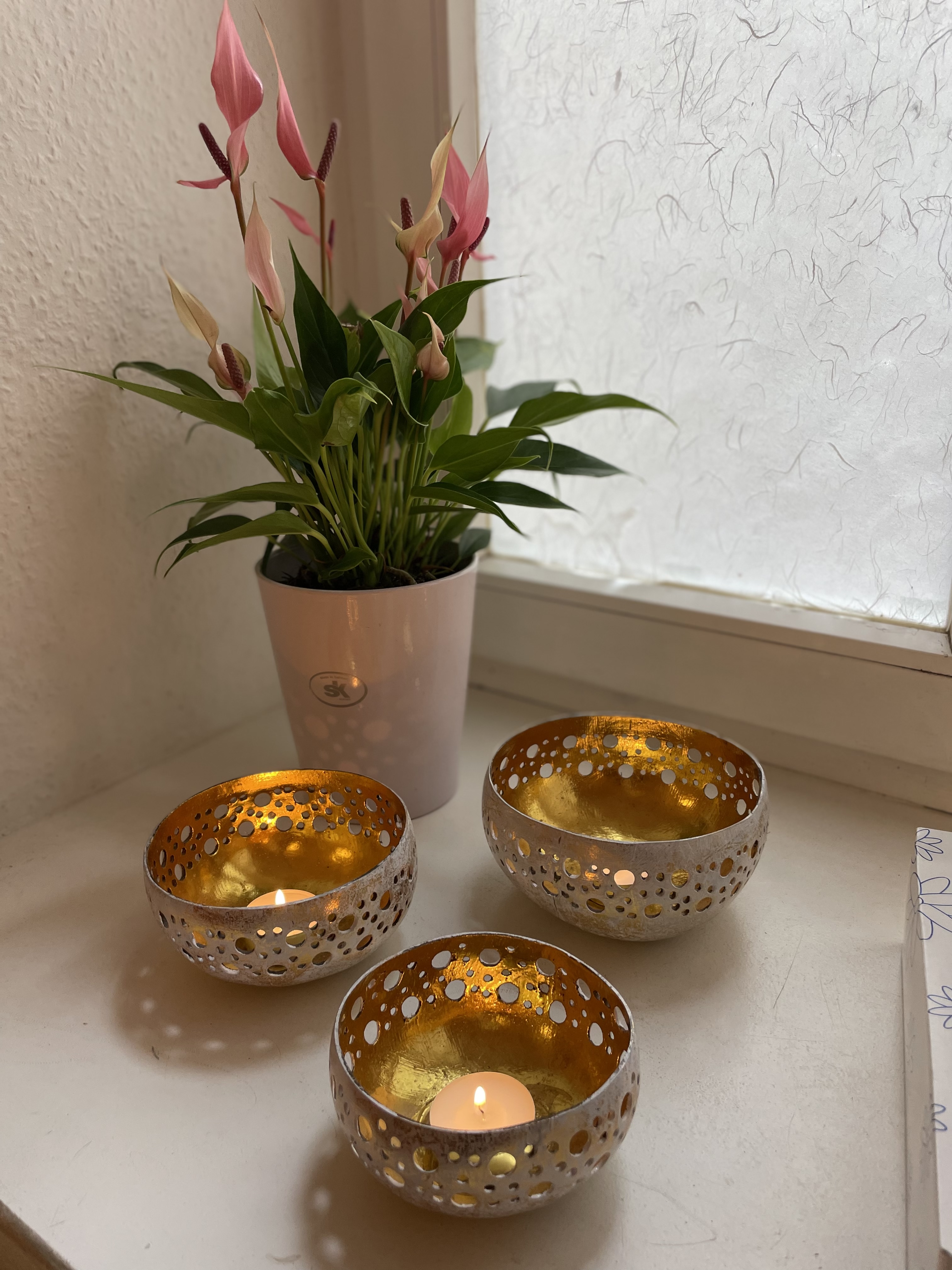 Drei goldene Kerzenschalen mit Teelichtern neben einer Anthurium-Pflanze am Fenster